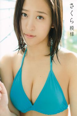 狼群視頻免費(fèi)觀看